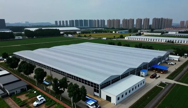 信息咨询在需求变化中的性能表现与适用场景